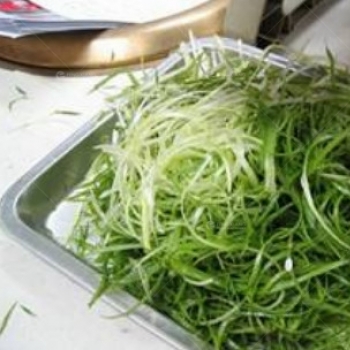 CS-50 Table Type Spring Onion Cutting Machine Celery Strips Cutting Machine  - China Leek Shredding Machine, Celery Strips Cutting Machine