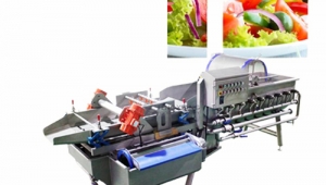 Know more about Multifunction Vortex Type Vegetable Washing Machine