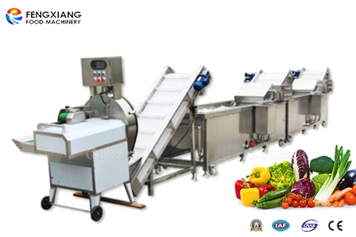 vegetable cutting and washing machine processing line 