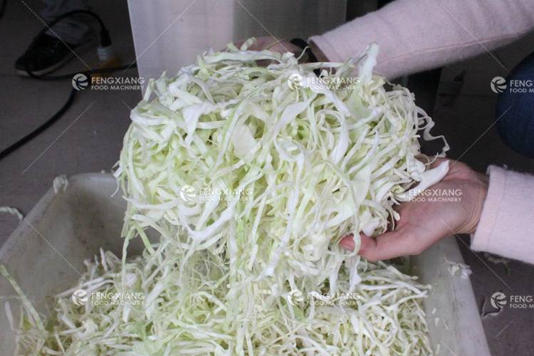 Electric Commercial Vegetable Cutter Cabbage Shredder Cutting
