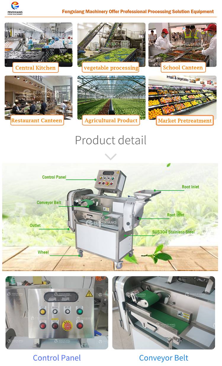 Multi-Function Vegetable Cutting Machine - Food Packaging Processing  Solutions