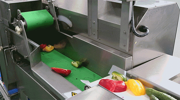 Automatic Salad Vegetable Cutting Slicer Food Processing Factory