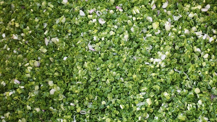 Scallion Cutting Machine