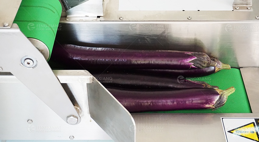 Eggplant Slicing Machine