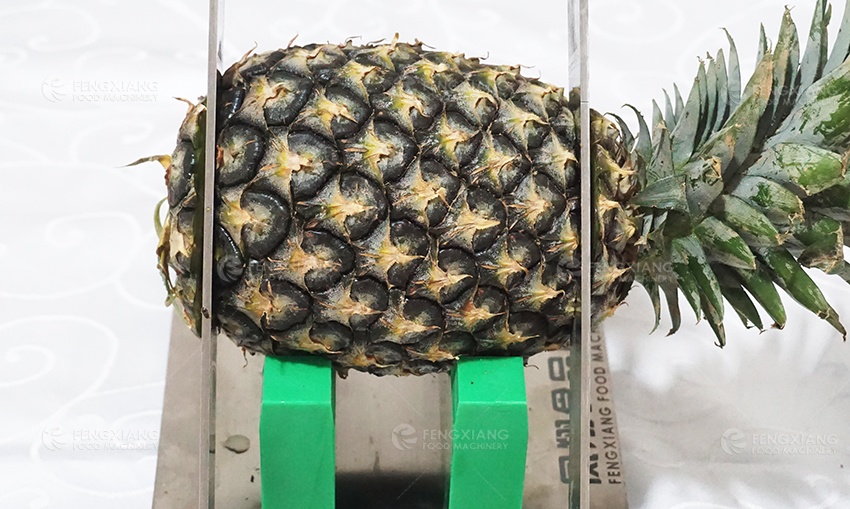 pineapple cutting blade