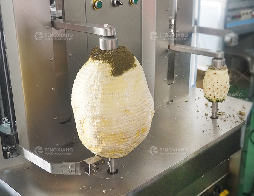 jackfruit peeling machine