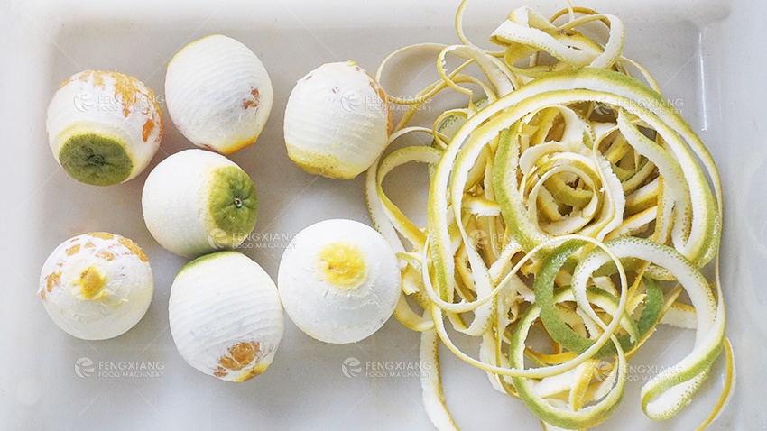 Citrus peeling machine