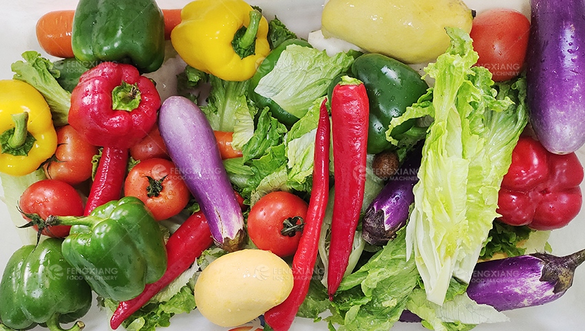 vegetable fruit washing machine