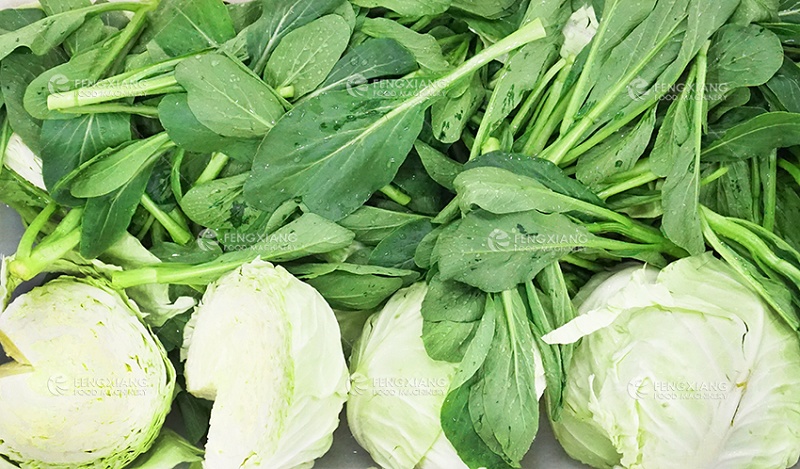 vegetable cleaning machine