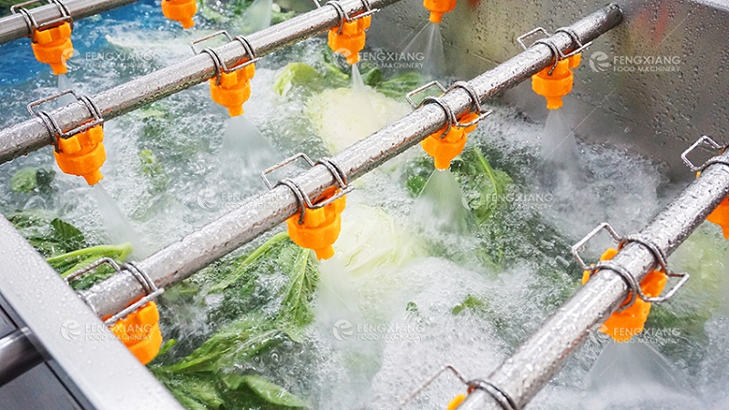 vegetable cleaning machine