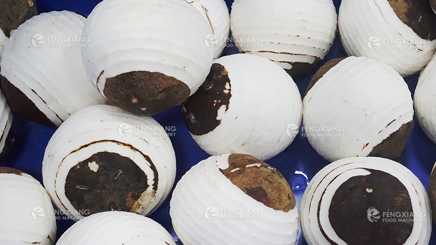 coconut peeling