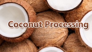 Coconut Productions Shelling Shredding Drying Solution