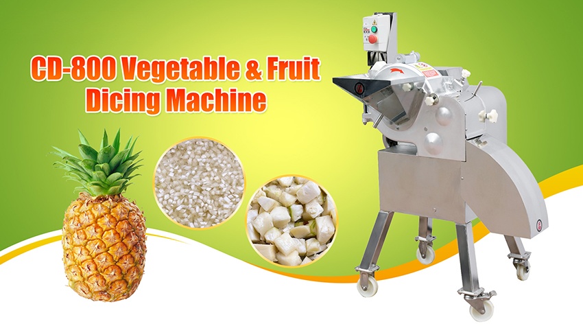 dicing machine