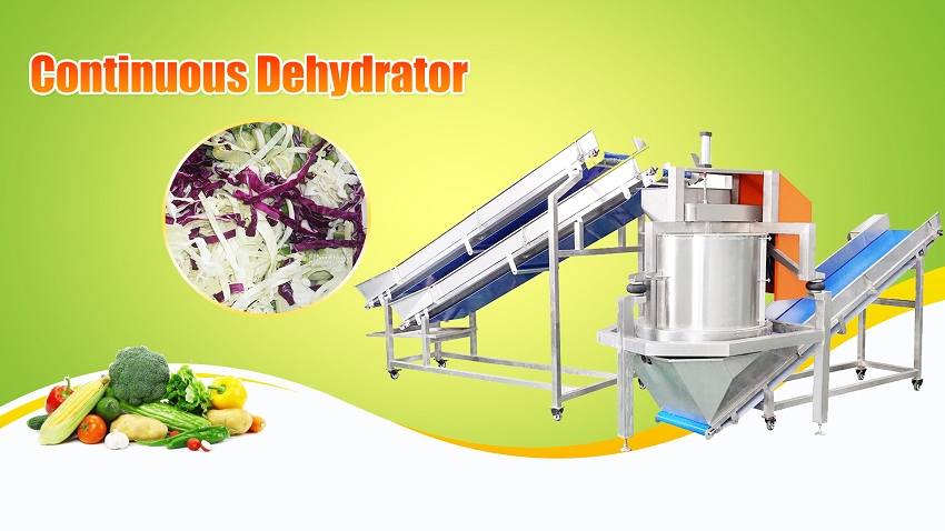 vegetable salad dehydrator machine