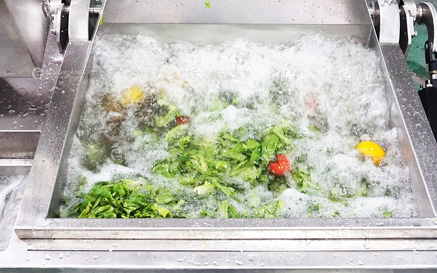 vegetable washer