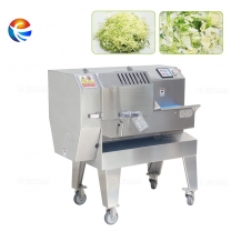 Fengxiang FTS-120/FTS-168 multifunction automatic vegetable slice cutter easy and quick change Conveyor belt