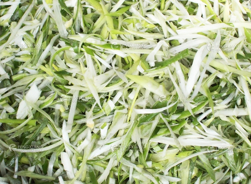 scallions shredder