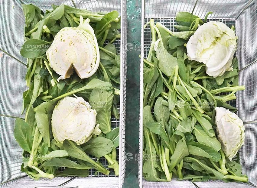 vegetable washing