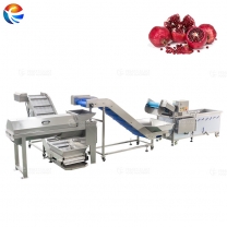 Pomegranate Washing Cleaning Seeding Processing Machine