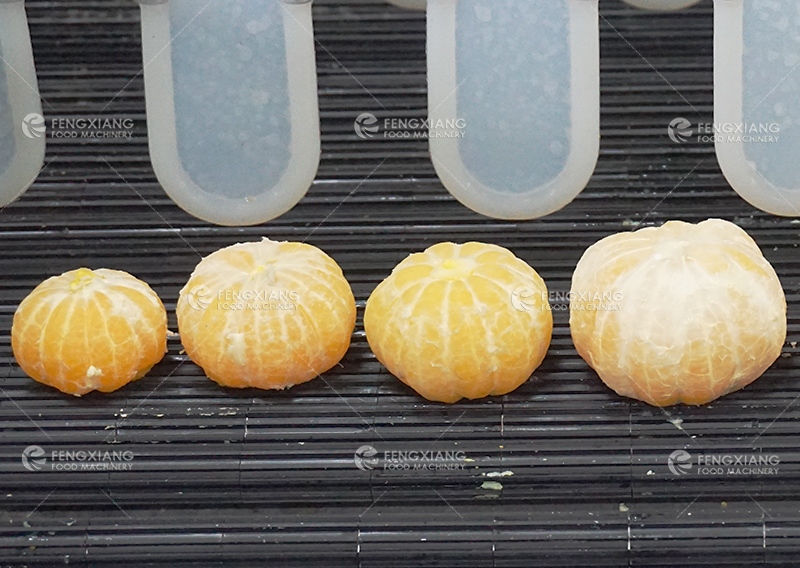 citrus peeling machine