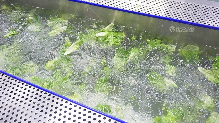 vegetable washing machine