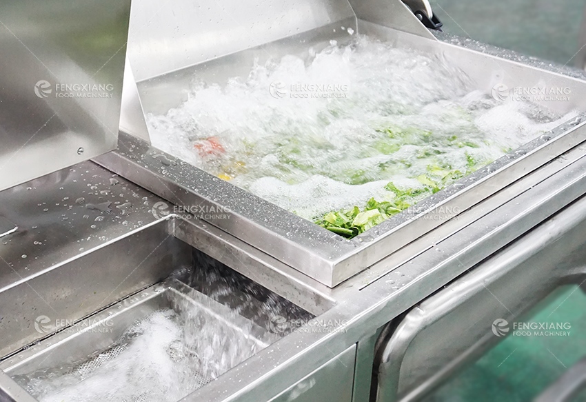 vegetable washing machine