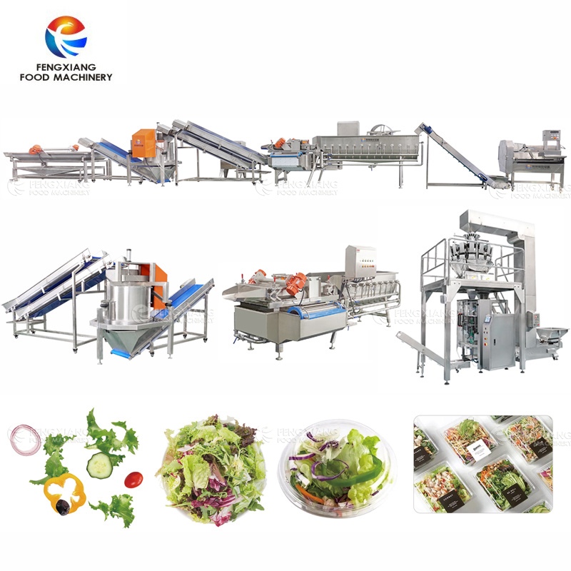 Salad Vegetable Processing Line