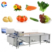 WA-3000 Vegetable Fruit Bubble Spray Washing Cleaning Machine