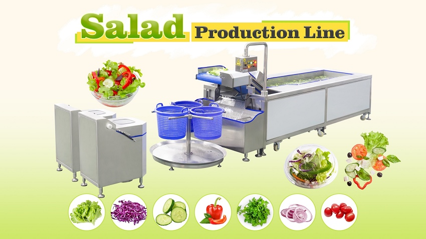 salad vegetable washing machine