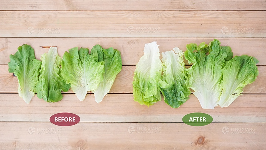 lettuce washing cleaning