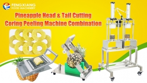 Pineapple Peeling And Ring Cutting Machine Set