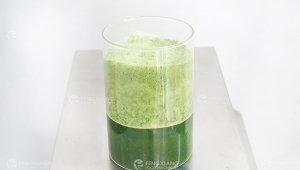 Pandan Juice Processing: From Cutting to Crushing